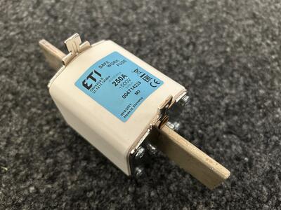 Arbeitsschutzsicherung SWF 250A