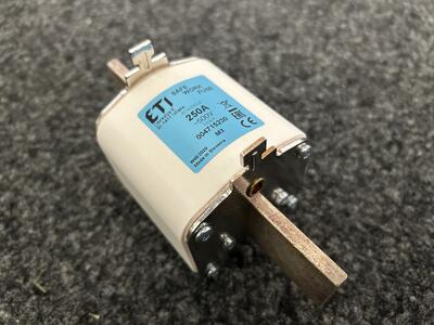 Arbeitsschutzsicherung SWF 250A
